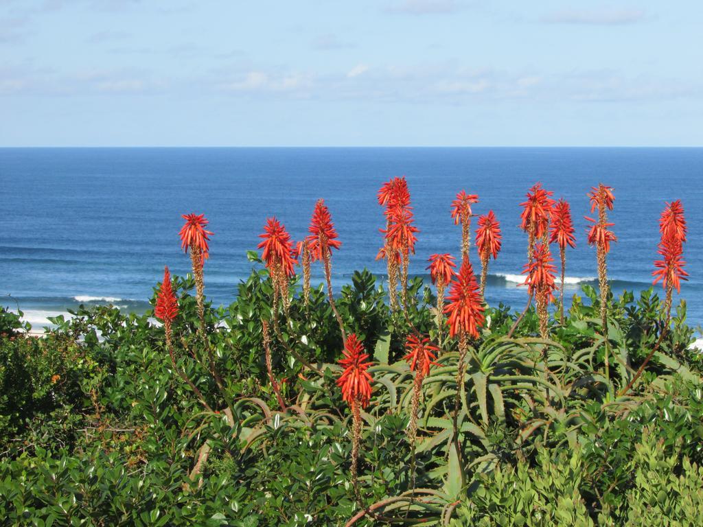 Melkhoutkloof Guest House Outeniqua Strand Exterior foto